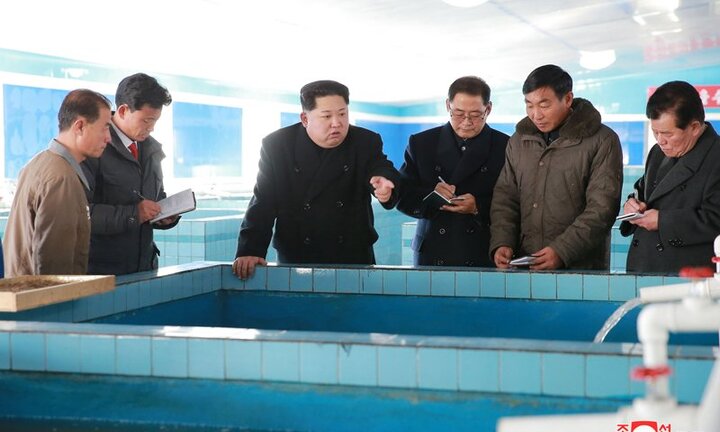 Chủ tịch Triều Tiên Kim Jong-un thăm trại nuôi cá da trơn mới xây dựng