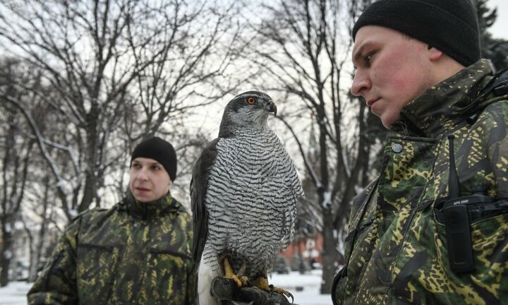 Ảnh: Biệt đội chim săn mồi bảo vệ Điện Kremlin