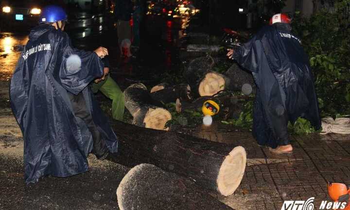 Sài Gòn mưa lớn liên tiếp, gió lốc quật ngã cổ thụ, đè bẹp ôtô