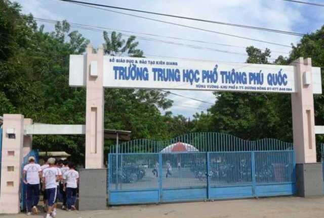 Cô giáo bị ong vò vẽ đốt 70 mũi nhập viện trong tình trạng nguy kịch