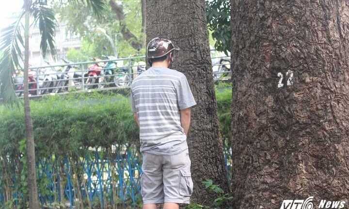 Người đàn ông tiểu bậy bị phạt xách nước rửa sạch