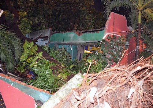 Cây cổ thụ đè sập 4 nhà dân trong đêm, 2 người mắc kẹt