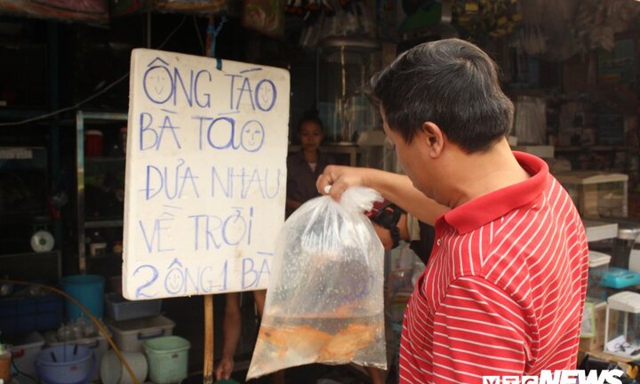 Nhiều người chơi sang mua cá Koi Nhật Bản giá gần triệu đồng cúng ông Công ông Táo