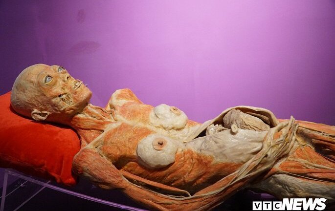 Nguyên Cục phó Bảo vệ trẻ em: Triển lãm mô hình xác người ở TP.HCM là phi nhân tính