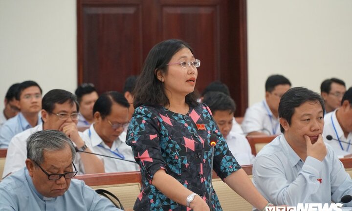 Đại biểu HĐND TP.HCM đề nghị thành lập đội săn bắt cướp