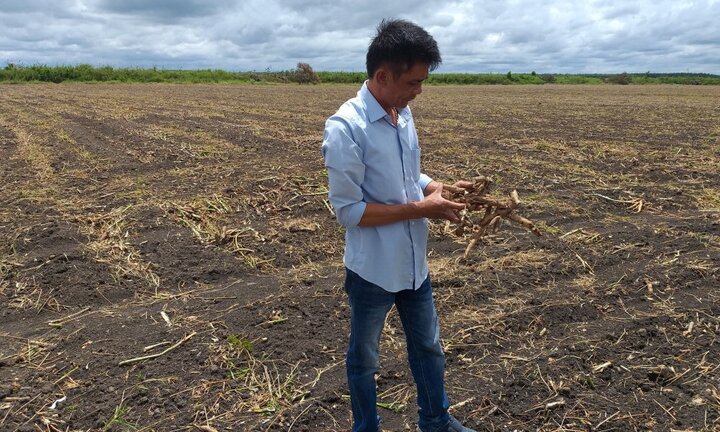 Chủ tịch huyện ở Tây Ninh bác tin người dân quỳ lạy trước nhà mình