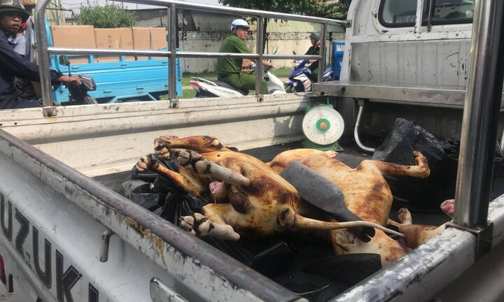 Tiểu thương bán thịt chó khóa trái cửa trốn cơ quan kiểm tra