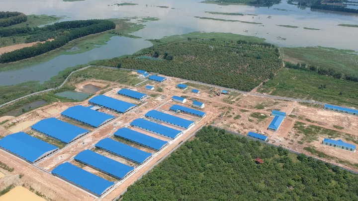 Sẽ tháo dỡ trại heo khổng lồ đầu nguồn cấp nước cho 10 triệu dân