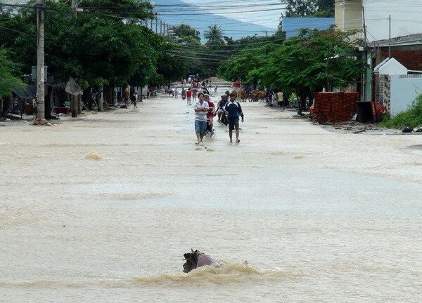 Lũ đang dâng rất cao tại Ninh Thuận, Khánh Hòa