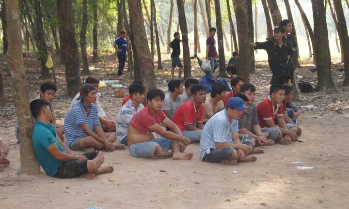 Cảnh sát đột kích trường đấu gà, hàng chục con bạc chạy tán loạn trong rừng cao su