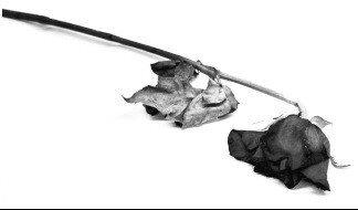 Lạm dụng sextoy: Cẩn thận rước bệnh vào người