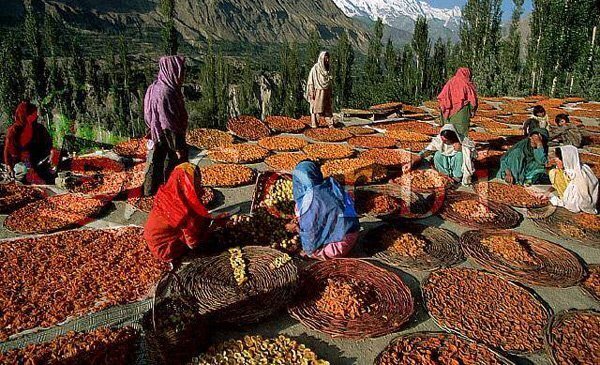 Lạ kỳ vùng đất 900 năm không có ai mắc ung thư