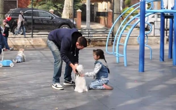 Video: Chỉ bằng 1 con chó cảnh, bé gái đang chơi cạnh mẹ bị dụ dỗ theo người lạ