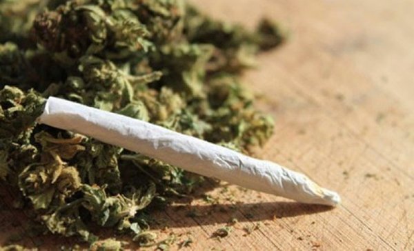 Người lạ mời hút cỏ Mỹ, 3 thanh niên nhập viện cấp cứu