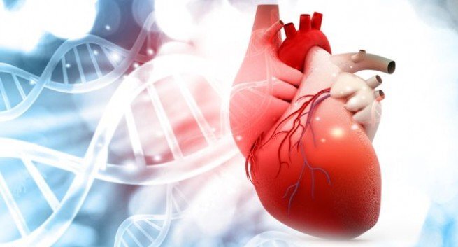 Cảnh báo: 'Ngủ nướng' vào cuối tuần làm tăng nguy cơ mắc bệnh tim