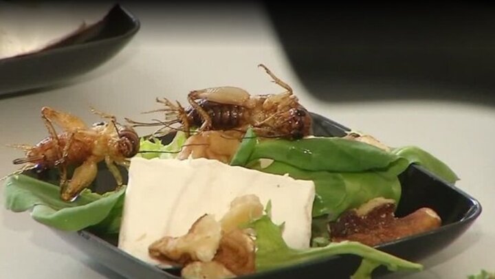 Thiếu lương thực, con người sẽ phải ăn côn trùng trong tương lai?