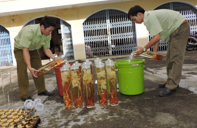 Tiêu hủy Sâm Ngọc Linh không rõ nguồn gốc, trị giá gần 300 triệu đồng