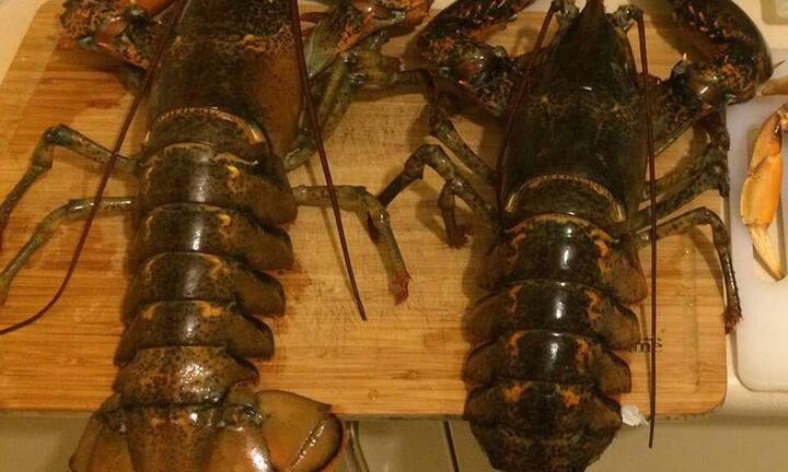 Ăn chơi kiểu đại gia Việt: Tranh nhau mua tôm hùm khổng lồ giá chục triệu/con