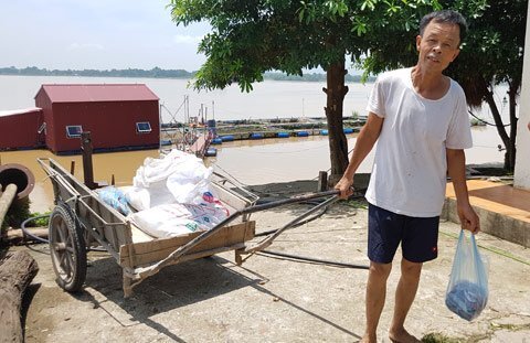 Phú Thọ: Đau xót cá 'tiến vua' dùng để... ủ phân và nuôi lợn