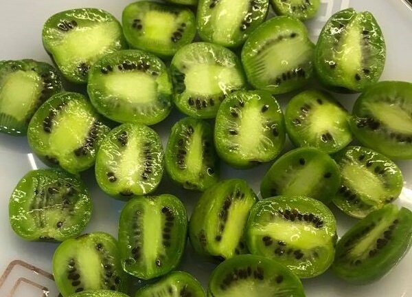 Kiwi ngoại tí hon 'lên ngôi', giá hơn 1 triệu đồng/kg vẫn 'cháy hàng'
