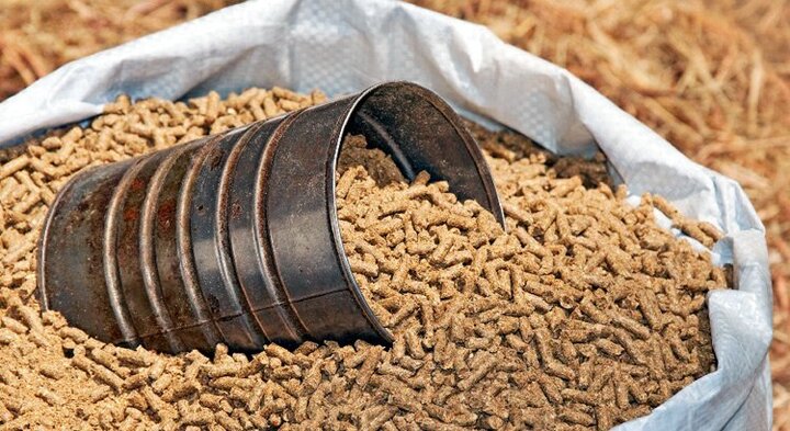 Lợn, gà ăn ‘đạm giả’, thịt nhiễm độc gây bệnh thận cho người