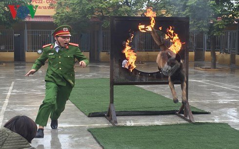 Những 'chiến binh' đặc biệt ở đơn vị trấn áp tội phạm