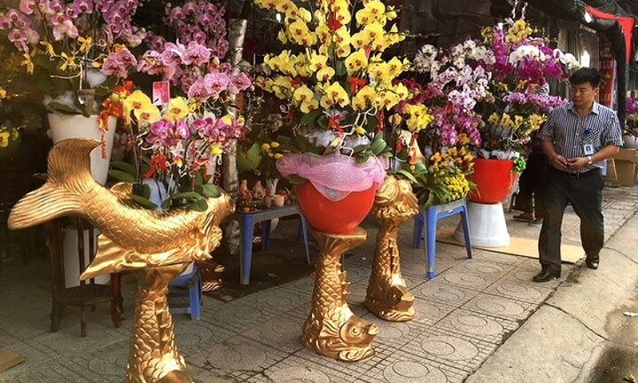 Người Việt chi 18 triệu USD mua hoa ngoại ngắm Tết