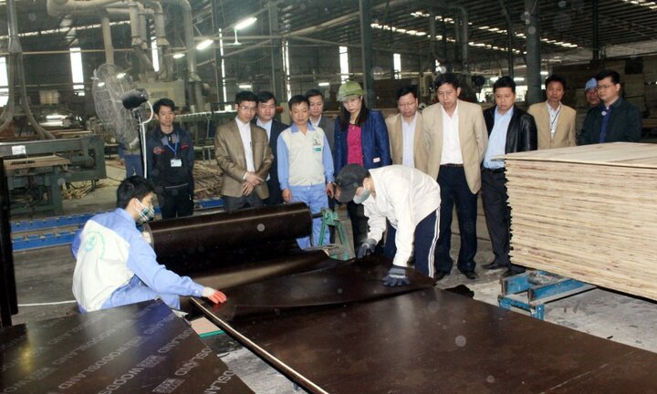 Hà Giang: Tạo cơ chế mở để tăng cường thu hút đầu tư vào các Khu công nghiệp