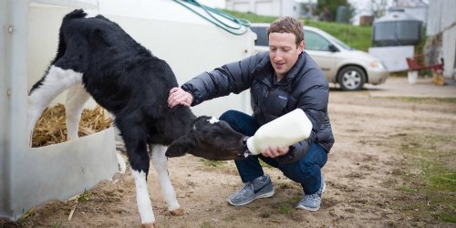 Facebook tốn hàng triệu USD bảo vệ Mark Zuckerberg mỗi năm