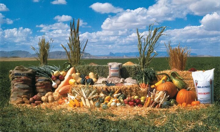 Dân Mỹ khốn đốn vì bị Trung Quốc trả đũa thuế quan nhập khẩu