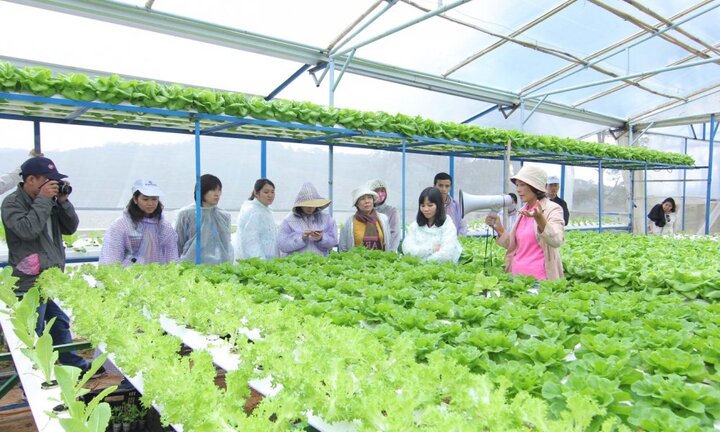 MM Mega Market Việt Nam tiếp tục đầu tư mạnh vào nông nghiệp