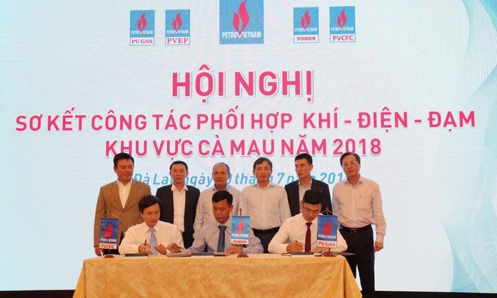 Sơ kết công tác phối hợp vận hành Cụm Khí - Điện - Đạm Cà Mau