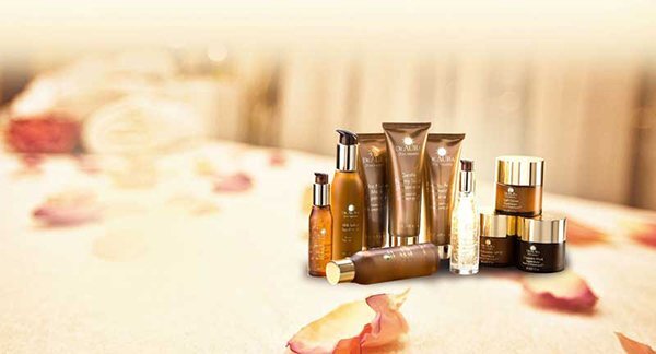 Gam màu mùa thu: Khi sắc vàng không còn dành cho sự u sầu