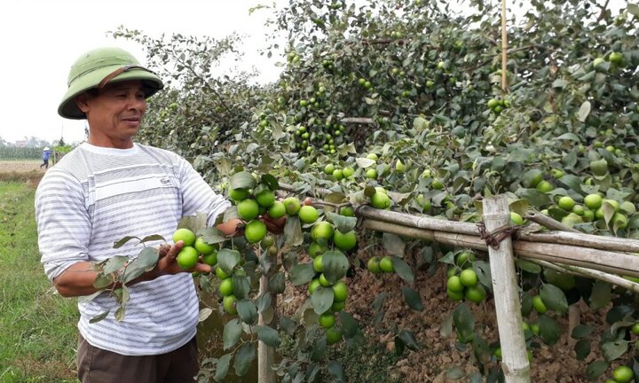 VNPT Check: Giải pháp tin cậy để phát hiện hàng giả