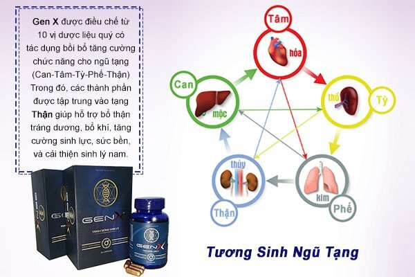 Gen X – Giải pháp hỗ trợ tăng cường sinh lý cho nam giới
