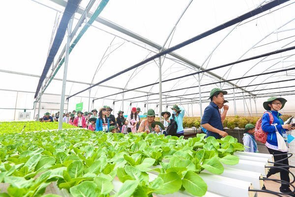 VinEco muốn thay đổi tư duy làm nông nghiệp Việt