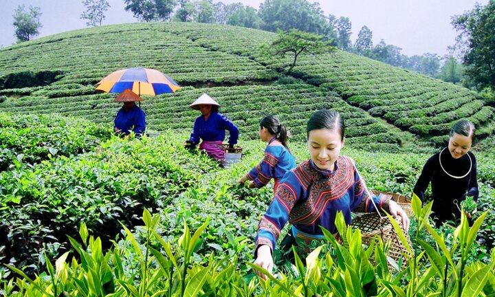 Khám phá tiềm năng du lịch của Thái Nguyên