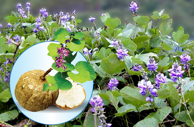 Chị em mách nhau bí kíp khiến chồng chao đảo cả ngày lẫn đêm