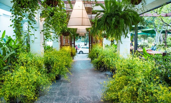 Lần đầu tiên Ngon Garden mang hương cải đồng nội về Hà Thành