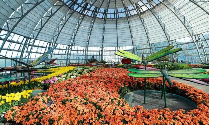 Đón giáng sinh, năm mới phong cách Châu Âu ngay giữa Nha Trang