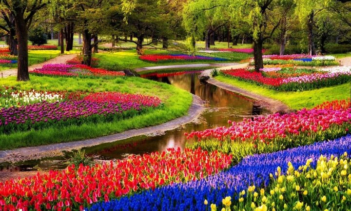 Lạc vào công viên hoa Tulip rực rỡ sắc màu ở Ecopark