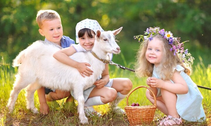 Hiểu đúng về các loại sữa dê trên thị trường để có lựa chọn tốt nhất cho bé