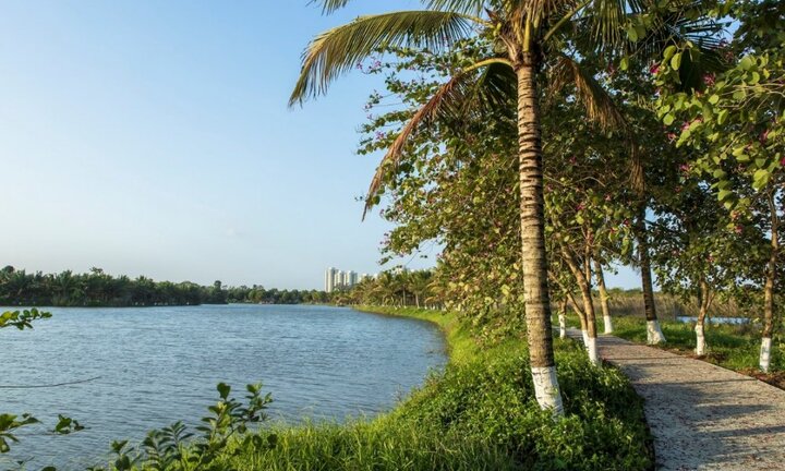 Lễ hội Xuân Ecopark Tết Kỷ hợi: Ấn tượng và khác biệt