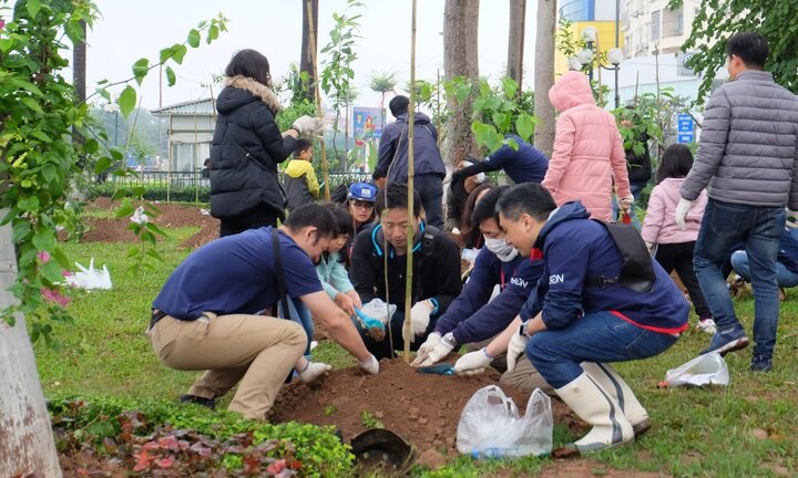 Hoa anh đào tô điểm sắc xuân cho 'Thành phố vì hòa bình'