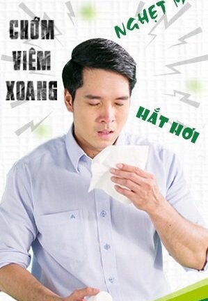Vì sao chớm viêm xoang, nghẹt mũi, hắt hơi nên dùng thuốc thảo dược Thông Xoang Tán Nam Dược?