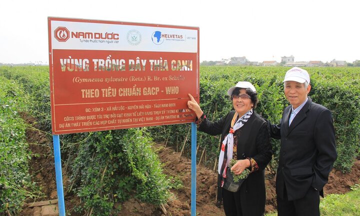 Liên tiếp chết oan do dùng sản phẩm trị tiểu đường trôi nổi