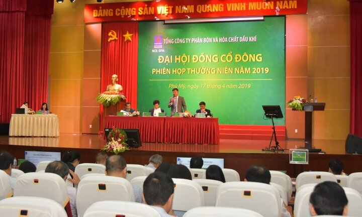 Đại hội đồng cổ đông Đạm Phú Mỹ 2019: Doanh thu 8.645 tỷ đồng, cổ tức 10%