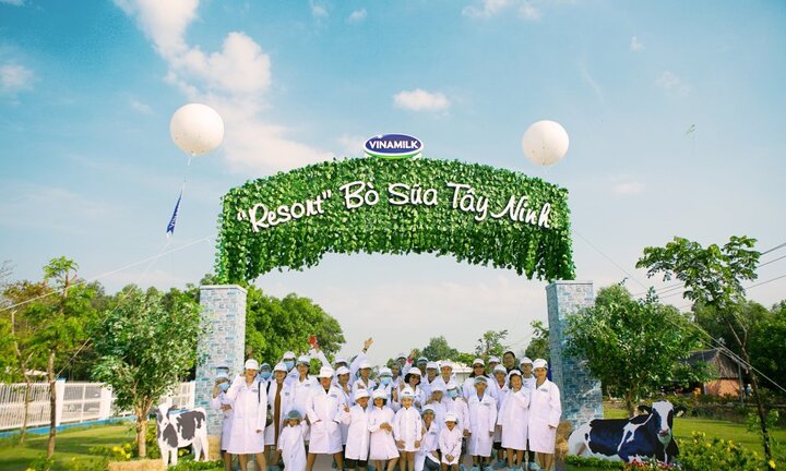 Vinamilk tổ chức cho con em nhân viên thăm Resort bò sữa