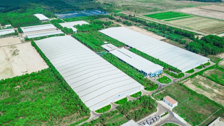 Hành trình khám phá Sữa học đường: Những trải nghiệm thú vị