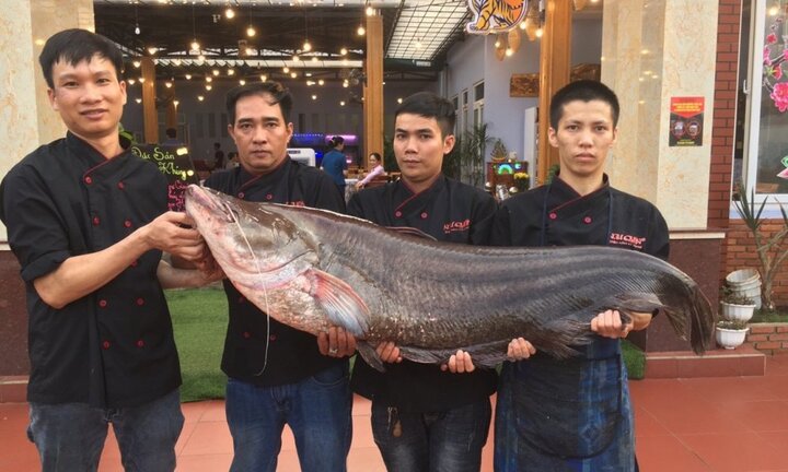 Thủy quái vùng Tây Nguyên